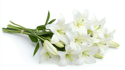 Obraz premium A simple bunch of white lilies with green stems, arranged neatly on a clean white background.