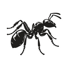 Amazing Ants: Tiny Insects with Big Abilities