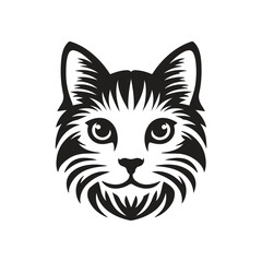 Unique Insights Into the Cat's Head: Anatomy and Expressions