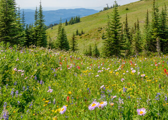 Beautiful landscape of valley in Alpine mountains, small trail, hike root, majestic picturesque...