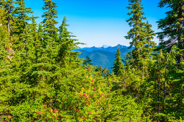 Fototapeta premium Beautiful landscape of valley in Alpine mountains, small trail, hike root, majestic picturesque view in sunny day