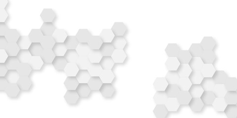 Abstract technology hexagonal background. Illustration of a white background with hexagonal template. White hexagon honeycombs background. Hexa gray Abstract Geometric Wide Banner Design.