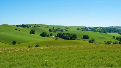 Fototapeta premium Rolling Green Hills Under Bright Blue Sky, Scattered Trees and Wildflowers, Soft Sunlight Casting Gentle Shadows, Peaceful Rural Landscape with Distant Farmhouse