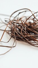 Dried Plant Texture: Close-up of Brown Twigs on White Background