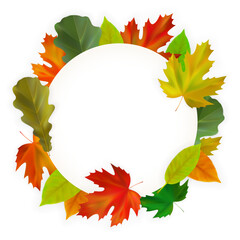 Fall card with realistic maple, oak autumn leaves. Round composition of autumn leaves. Vector illustration