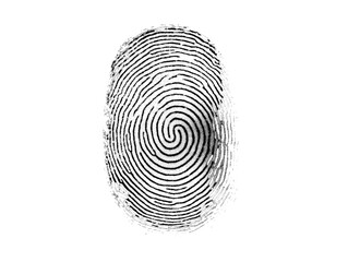Fingerprint isolated on transparent or white background, png