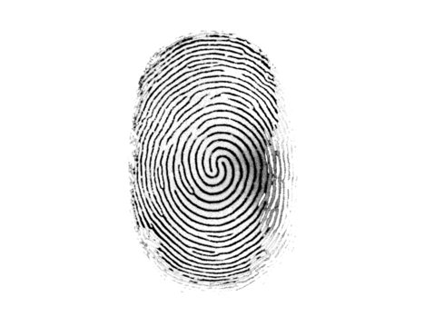 Fingerprint isolated on transparent or white background, png - Powered by Adobe
