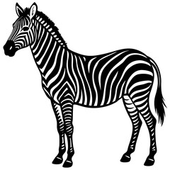  Zebra silhouette vector illustration