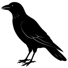 Crow silhouette vector illustration 