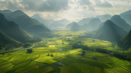 Obraz premium photograph of Rice fields in Bac Son valley, Lang Son province, Vietnam realistic