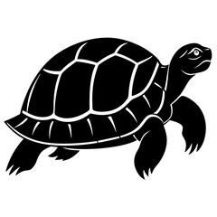 Tortoise silhouette vector illustration