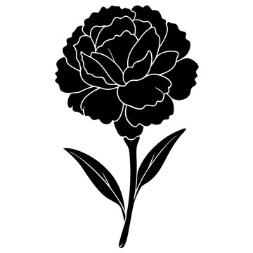 black carnation flower silhouette on white clip art preview