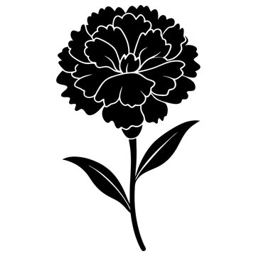 black carnation flower silhouette on white clip art preview