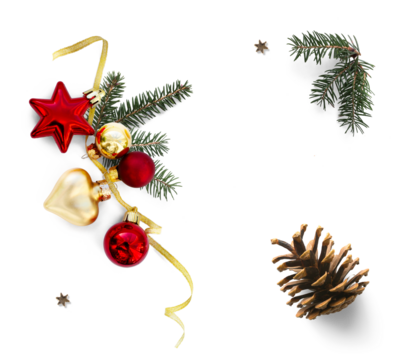 art Christmas tree branch and pine cone and Christmas decoration. Holidays design element isolated on transparent background. True neutral soft sheer shadow