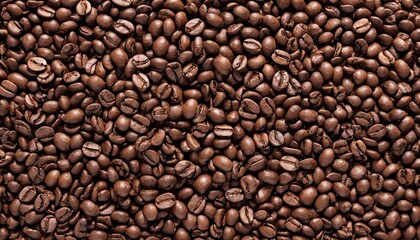 Fototapeta premium Scattered coffee beans in line on white 1