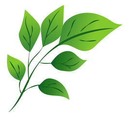 features a green leaf branch with various leaf shapes, showcasing a smooth graphic style. Vector illustration