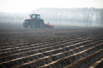 Fototapeta premium farmer on land 