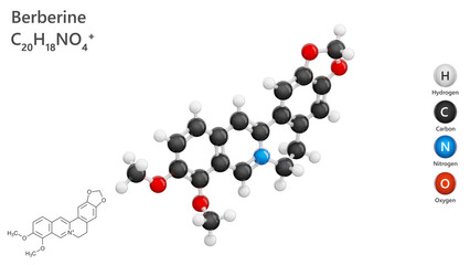Molecule of Berberine (C19H19NO3), is a bioactive alkaloid. It is known for its antimicrobial, anti-inflammatory, and potential antidiabetic properties. Ball and Stick. White back. 3d illustration
