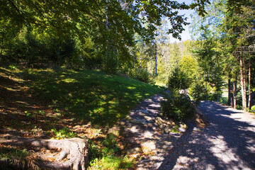 very beautiful and bright panorama of the Carpathians in autumn