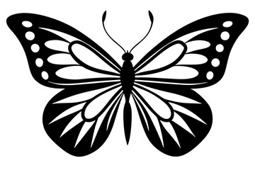 black butterfly isolated on white