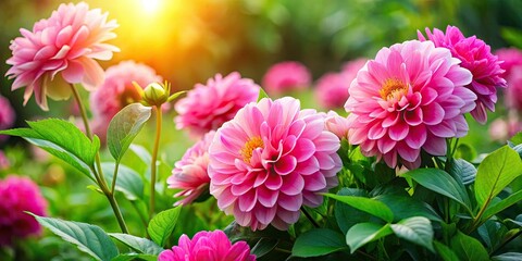 Fototapeta premium Charming pink flowers burst into bloom, embraced by brilliant green leaves, showcasing nature's artistry in a vivid celebration of color, life, and tranquility.