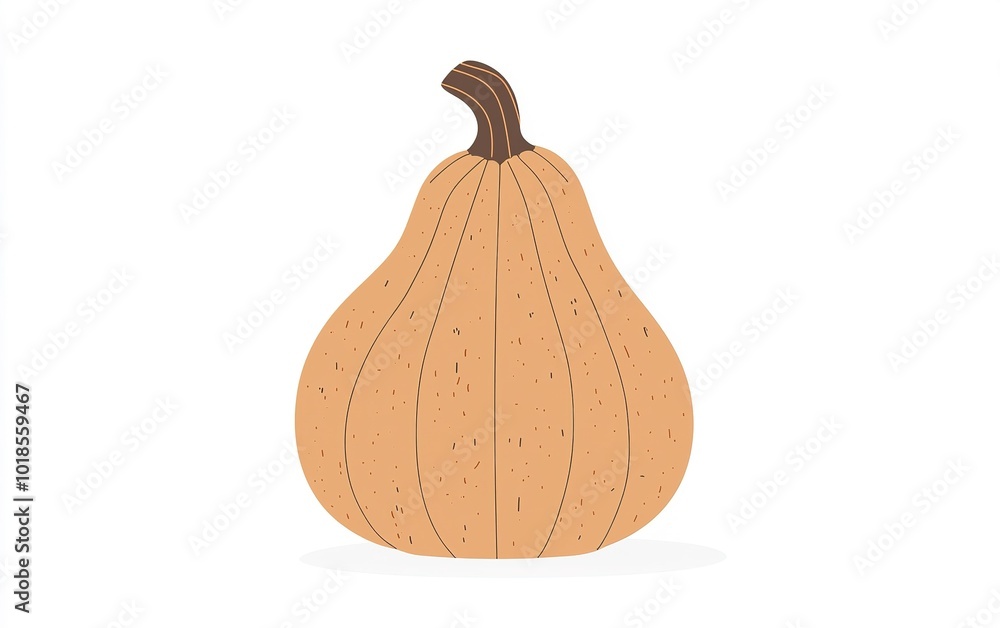 Poster a simple illustration of a butternut squash on a minimalist background highlighting its distinctive 