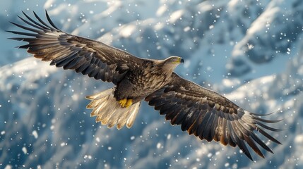 Obraz premium Majestic Eagle Soaring Above Mountain Range