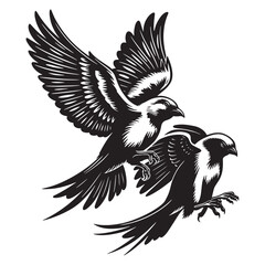 Fototapeta premium bird