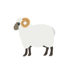 sheep symbol sign icon vector illustration animal cute ram ewe