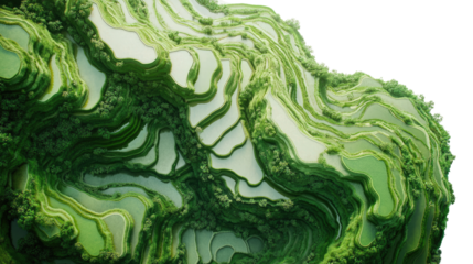 rice plantation, terraces, aerial view transparent background