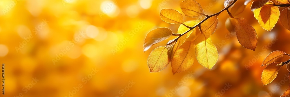 Wall mural Golden Autumn Leaves Background -  a beautiful image of golden leaves with a blurred background, perfect for fall and nature-themed projects. This image symbolizes warmth, change, and new beginnings.