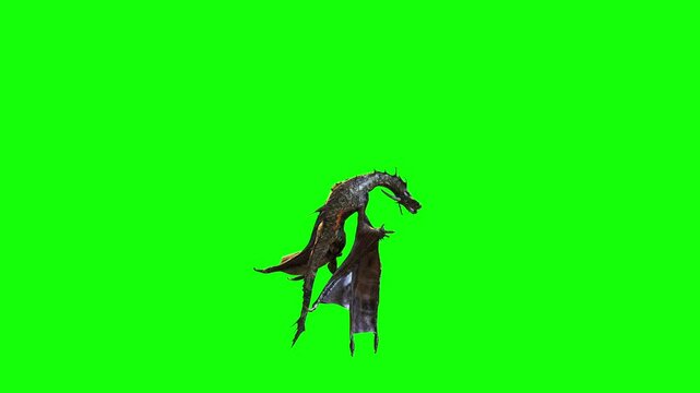 3d Illustration of a fantasy dark dragon and spread wing to flying isolated on green background.