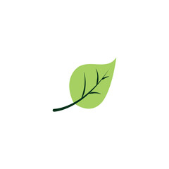Simple Green leaf icon Vector illustration.Nature Leaf decorative symbol. leaves of trees and plants sign, emblem isolated on white background, Flat style for graphic and web design, logo. 