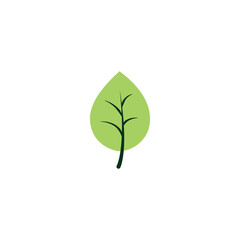 Simple Green leaf icon Vector illustration.Nature Leaf decorative symbol. leaves of trees and plants sign, emblem isolated on white background, Flat style for graphic and web design, logo. 