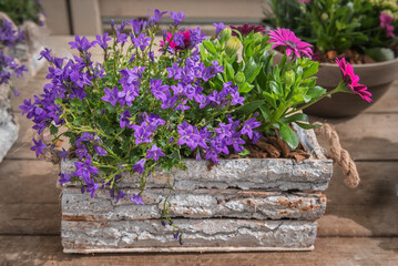 Bouquet of Spring Flowers in a Decorative Wooden Box