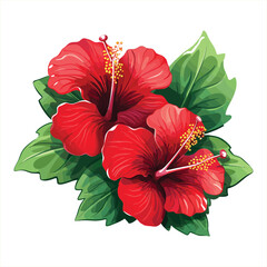 Vibrant Red Hibiscus Flower Illustration in Detailed Vector Art for Floral and Nature Designs