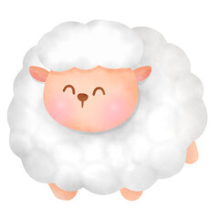 cute white sheep