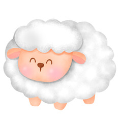 cute white sheep