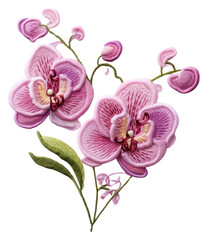 Fototapeta premium PNG Orchid new year in embroidery style pattern flower plant.