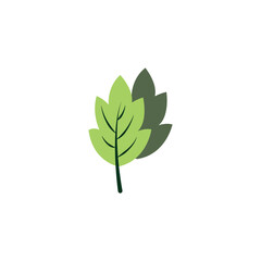 Simple Green leaf icon Vector illustration.Nature Leaf decorative symbol. leaves of trees and plants sign, emblem isolated on white background, Flat style for graphic and web design, logo. 
