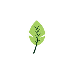 Simple Green leaf icon Vector illustration.Nature Leaf decorative symbol. leaves of trees and plants sign, emblem isolated on white background, Flat style for graphic and web design, logo. 