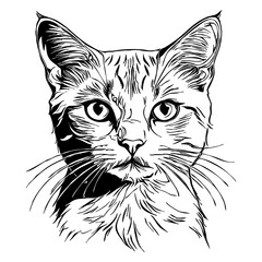 Cat . Animal black and white illustration . Logo design, for use in graphics.