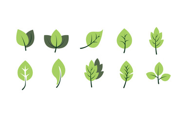 Simple Green leaf icons set on white background,Flat vector illustration.
