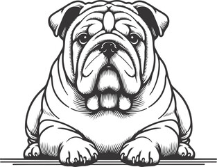 Line art French bulldog illustration. Ink style, cute animal for print Vector linear silhouette.