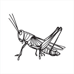single one line grasshopper silhouette on white background
