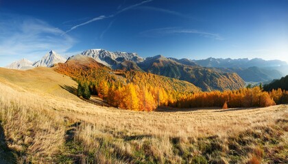 Fototapeta premium Panorama mountain autumn landscape