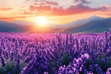 lush lavender field blooming with wildflowers under a soft summer sun creating a picturesque scene filled with vibrant colors and serene beauty