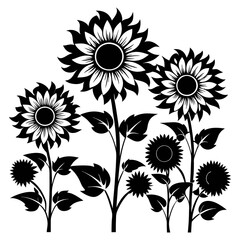 sunflower vector silhouette black-and-white