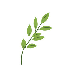Green leaves Icon Vector illustration. Nature Leaf decorative symbol. leaves of trees and plants sign, emblem isolated on white background.