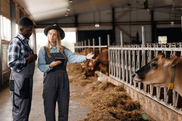 Woman workers use tablet computer and discuss with owner farmer of cow. Concept cattle livestock industry © Parilov